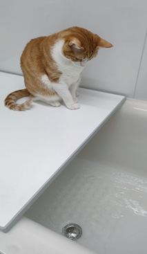 我が家の水道局長